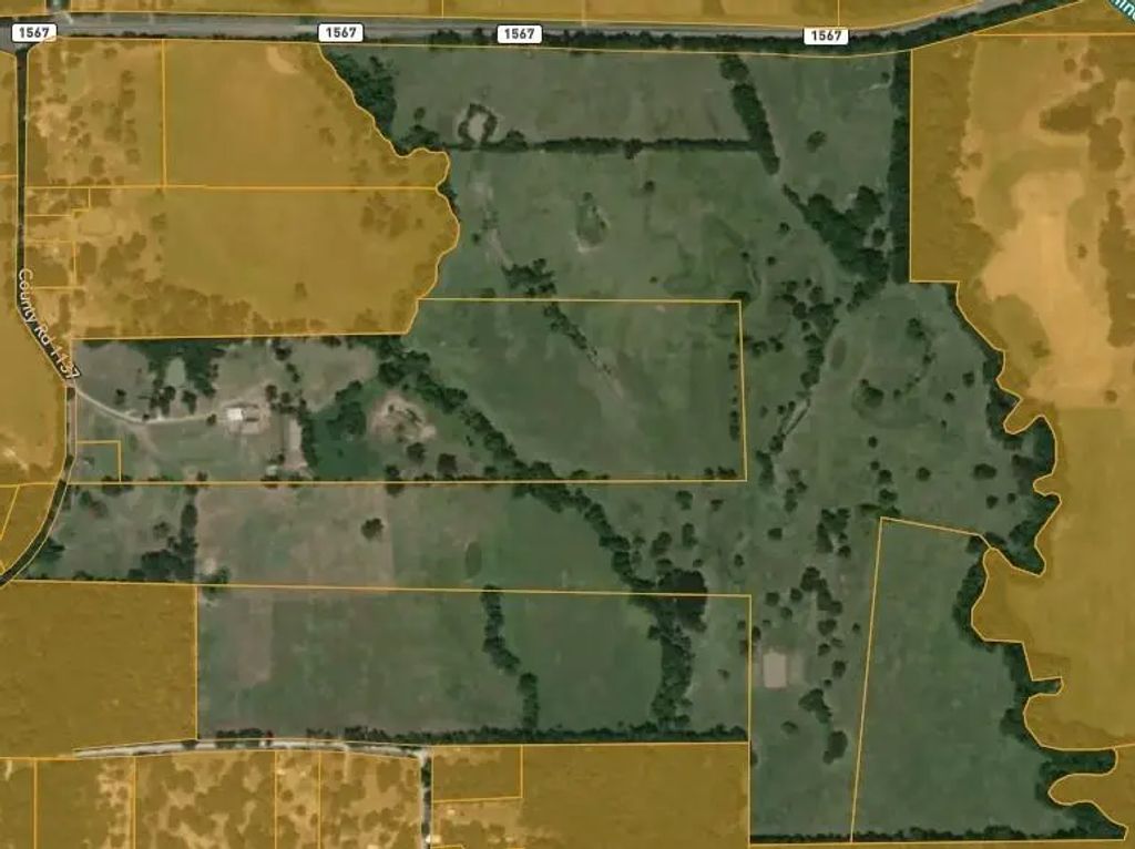 227 Ac Cr 1137, Lone Oak