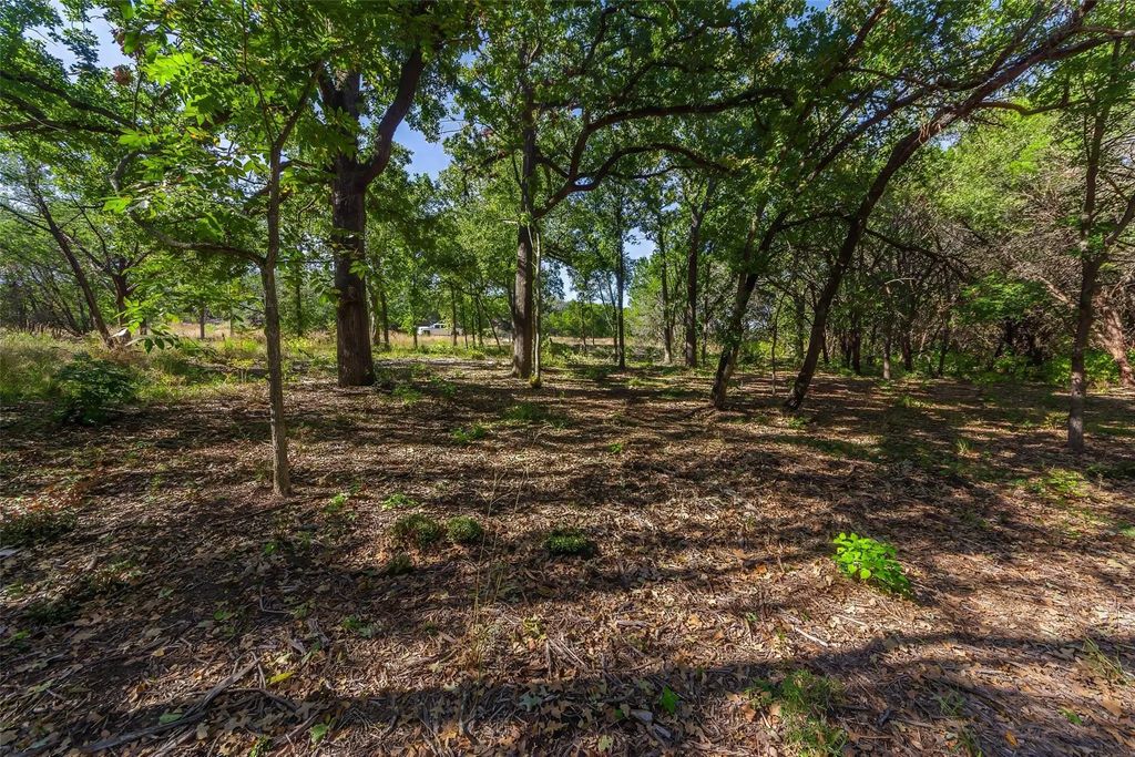 1053 Creek Crossing Road, Nemo
