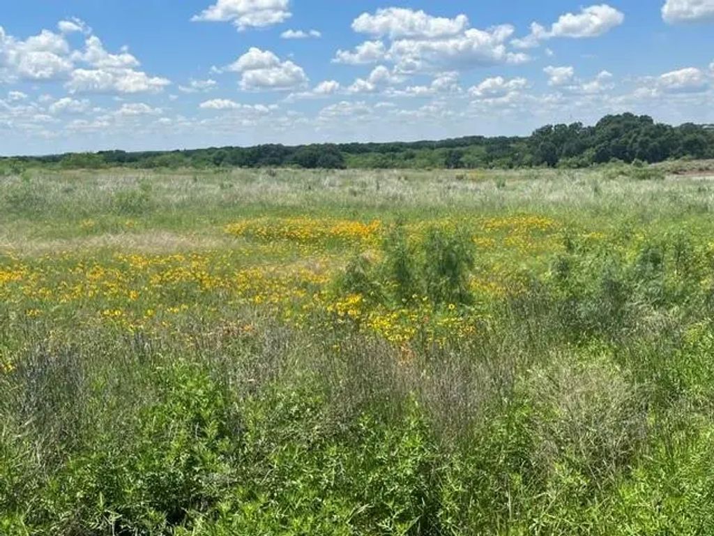 County Road 333, Blanket
