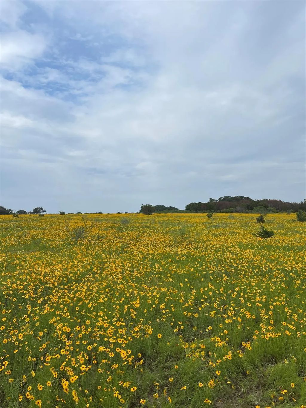 Bison Ridge Drive Lot 155, Stephenville