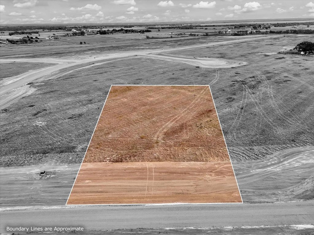 Lot 31 Golden Thistle, Elm Mott