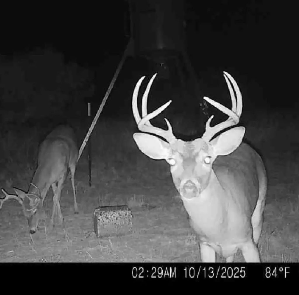 Tbd 158.50 Acres, Trent