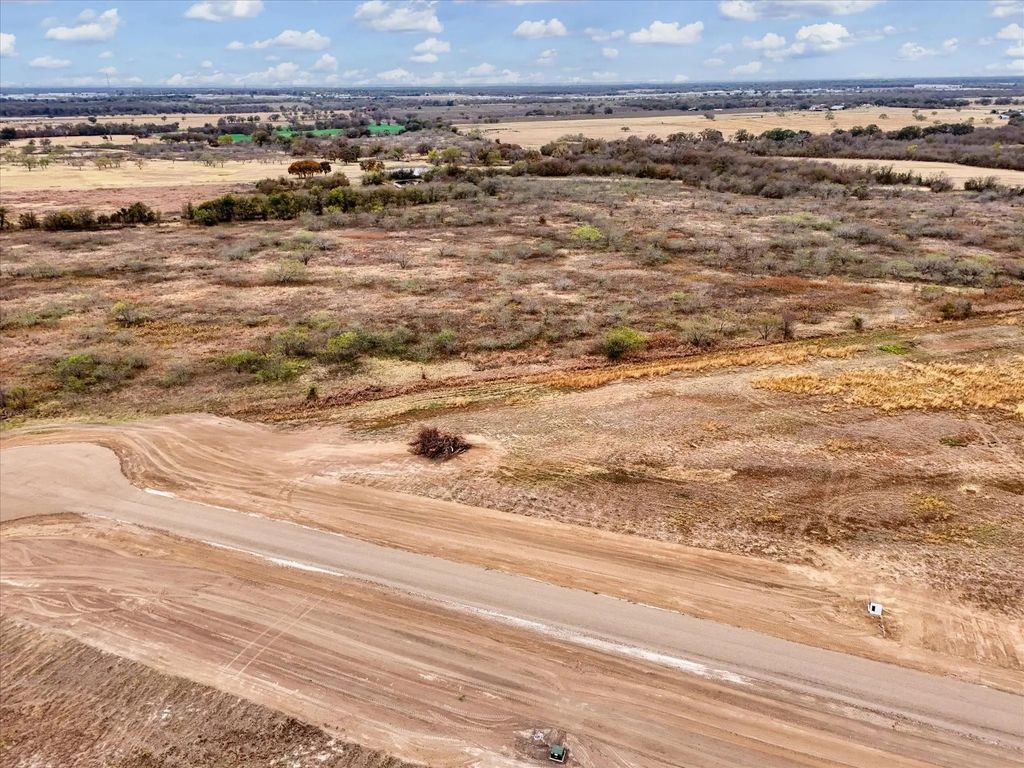 Lot 34 Golden Thistle, Elm Mott