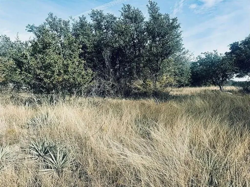 194 Willie B Drive, Brownwood