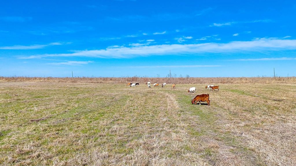 Lot 22 Nw Private Road 1270a Paso Robles, Corsicana