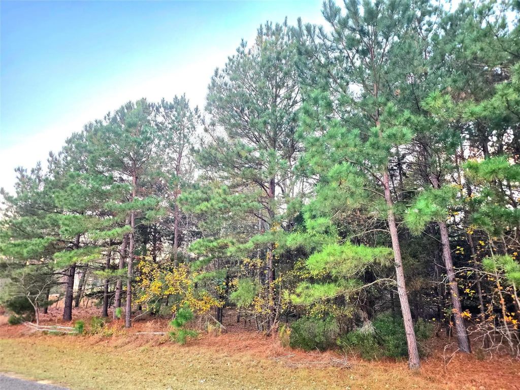 Lot 401 Mallard Way, Larue