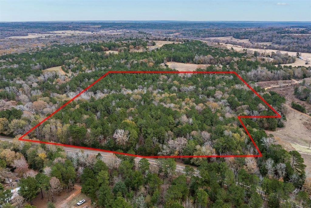 14770 Fm 315, Palestine