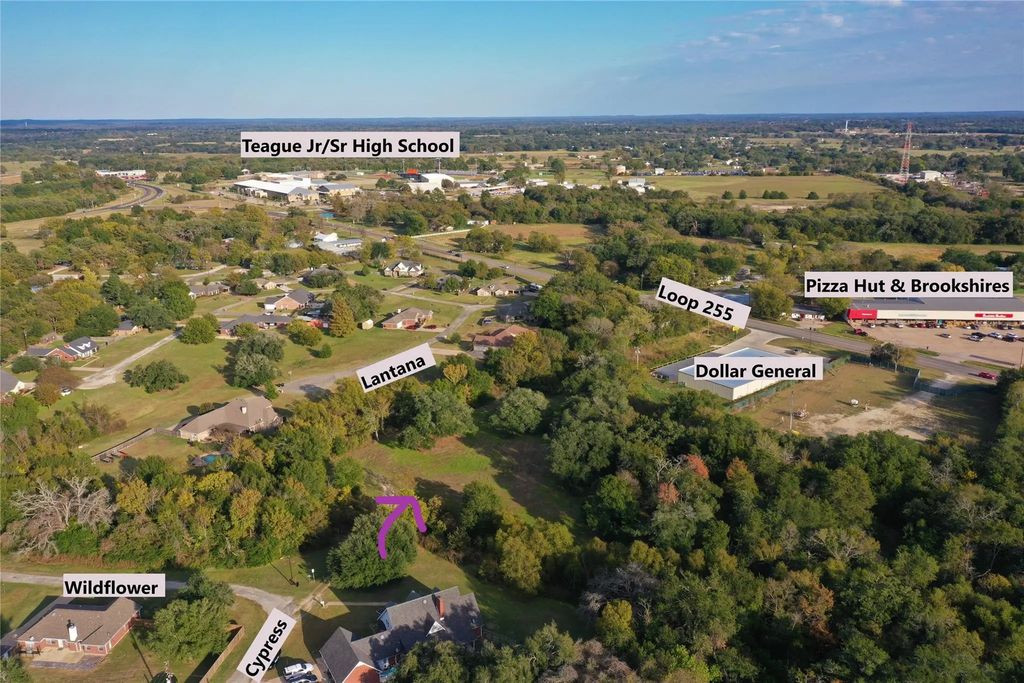 103 Wildflower Lane, Teague