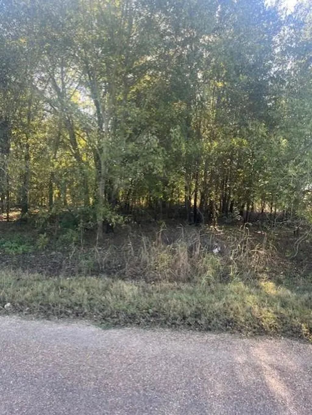 23 County Rd 316c, Terrell