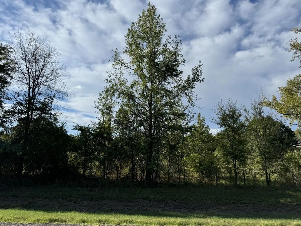 Tbd Fm 195, Bagwell