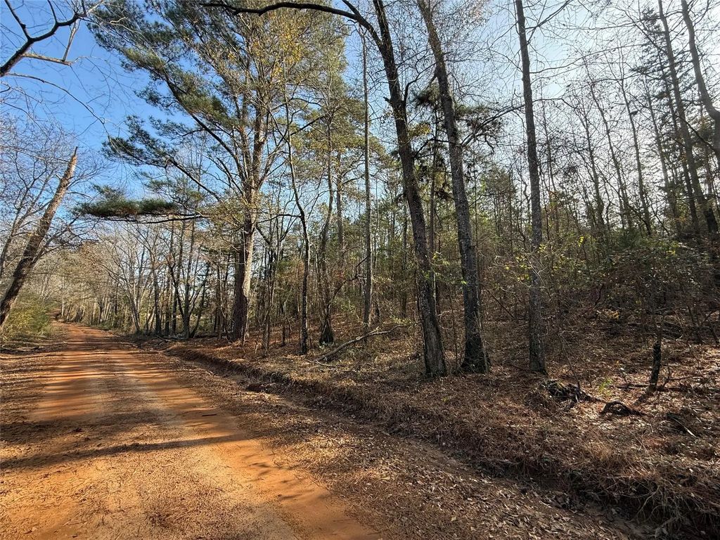 Tbd Cr 2733, Marietta