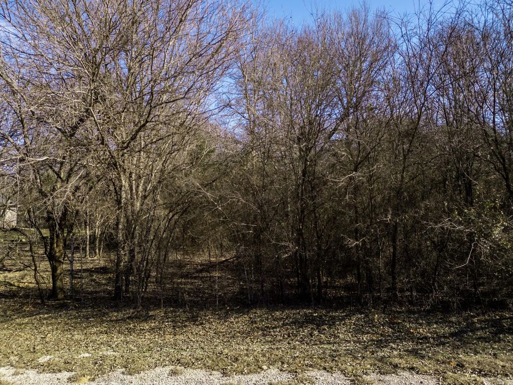 12039 Shady Creek Drive, Whitney