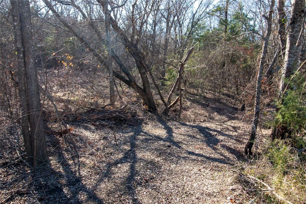 Lot 2 County Road 2905, Dodd City