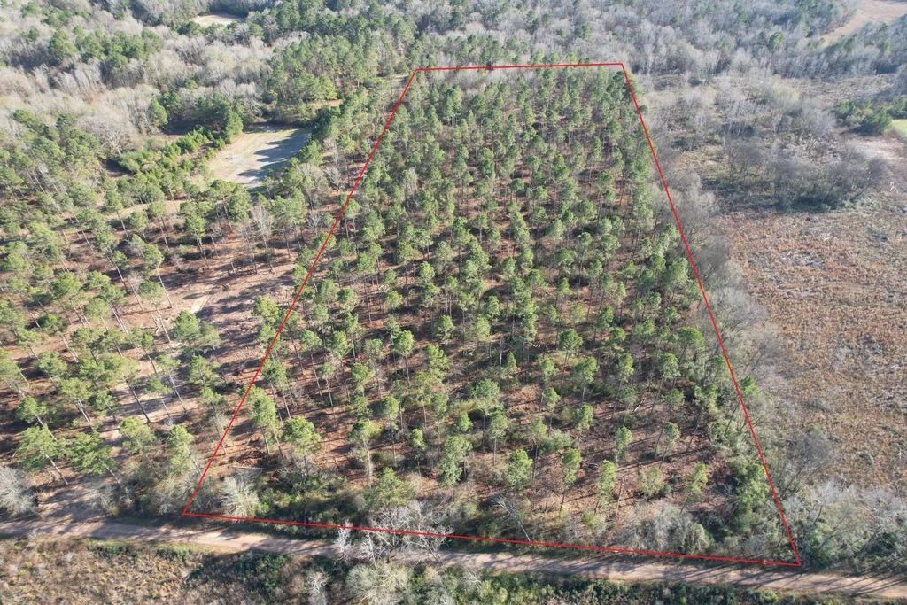 Tbd-a County Road 216, Beckville