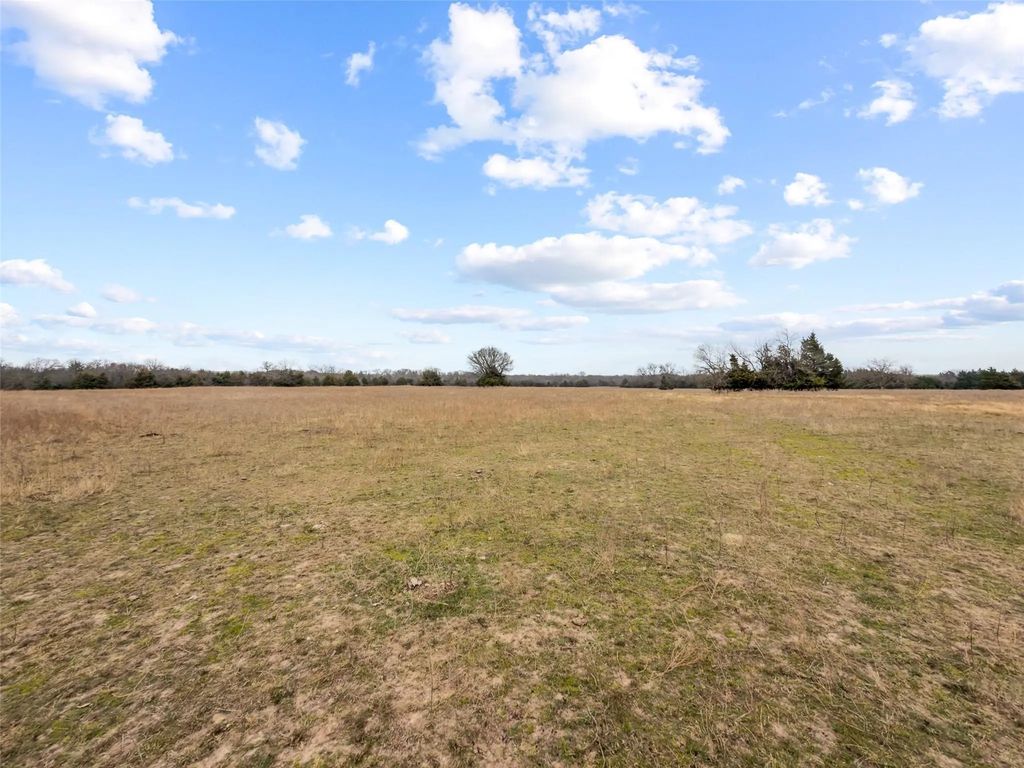 Tract 3 County Road 1255, Savoy
