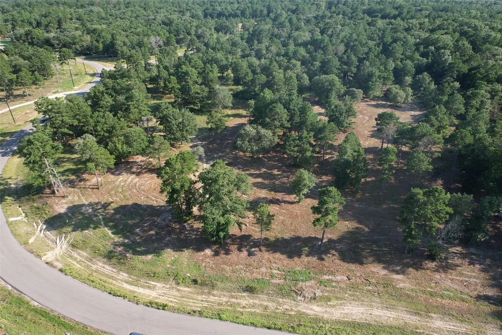 3145 Shadow Pine Drive, Larue