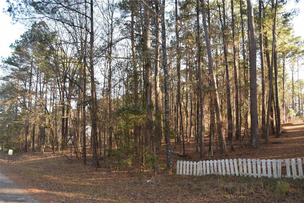 Lot #41 Timberlane Drive, Minden