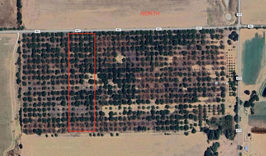 Tbd County Road 461, De Leon