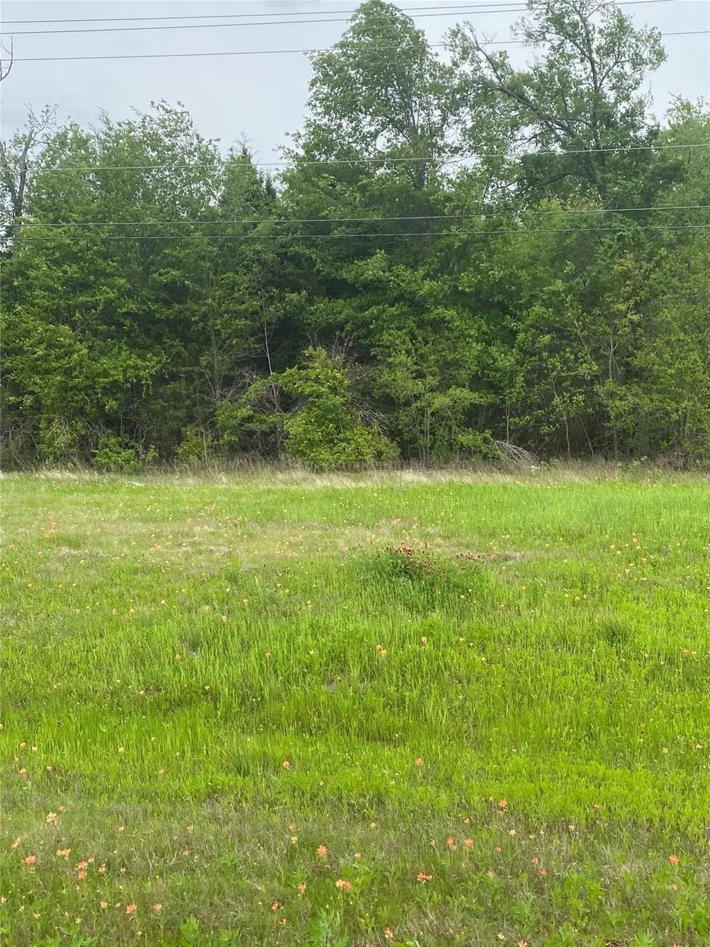 N Us Hwy 175, Athens