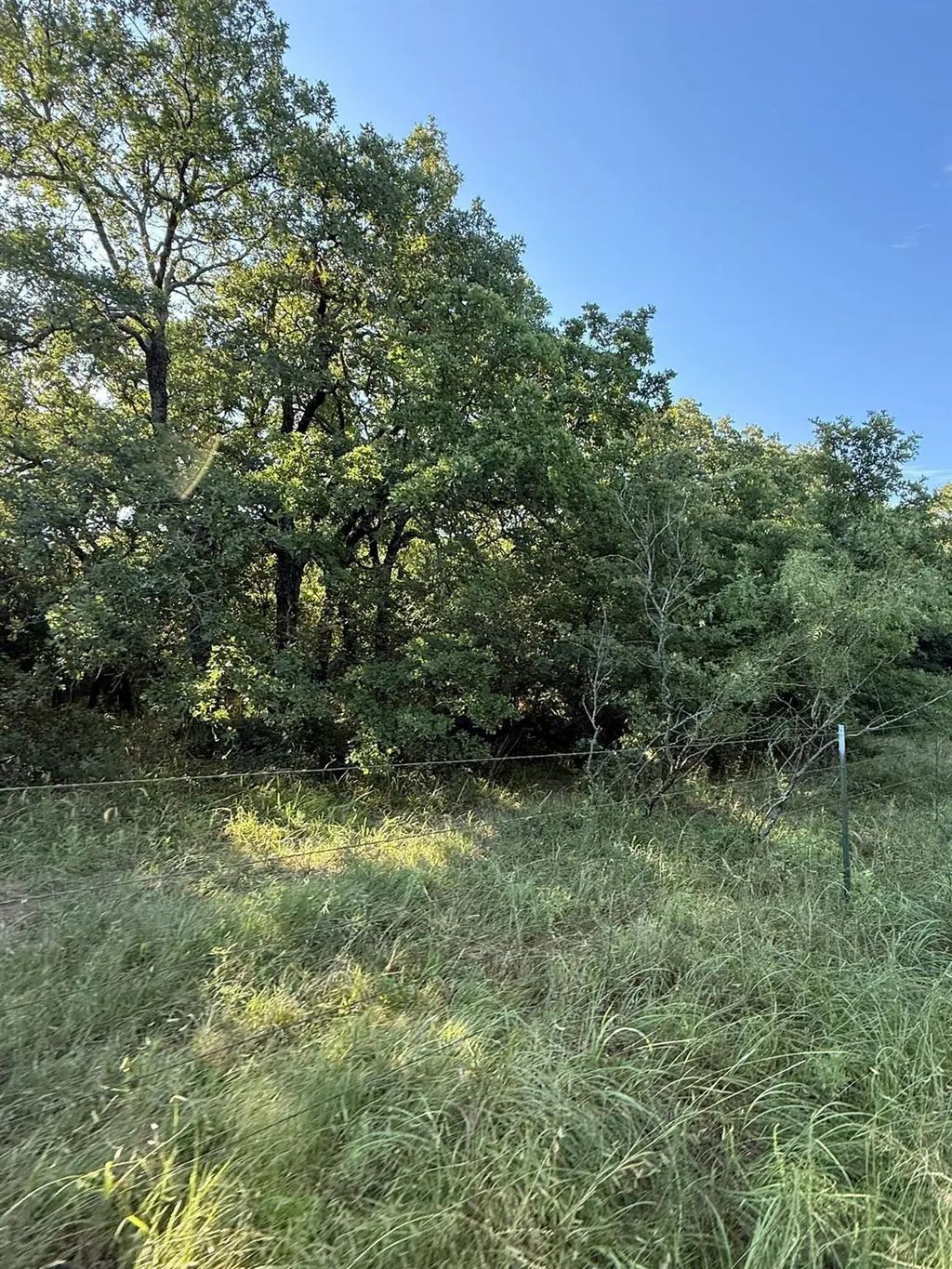 8801 Tx-59, Bowie