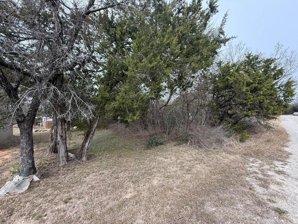 2208 Sabine Street, Granbury