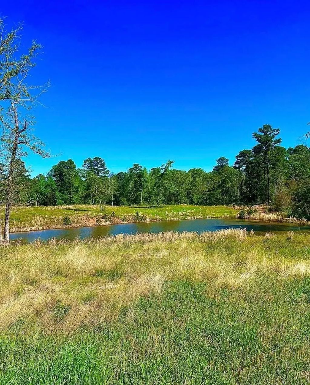 868 County Road 2920, Alba