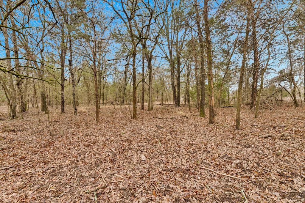 Tbd Co Rd 343, Kaufman