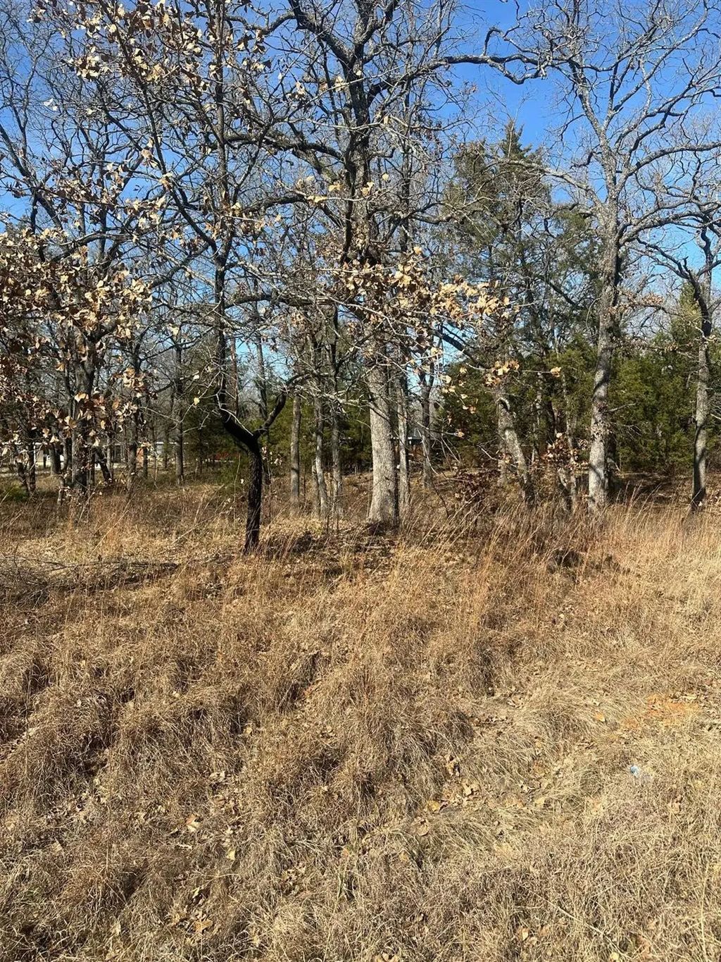 176 Oak Trail, Mabank