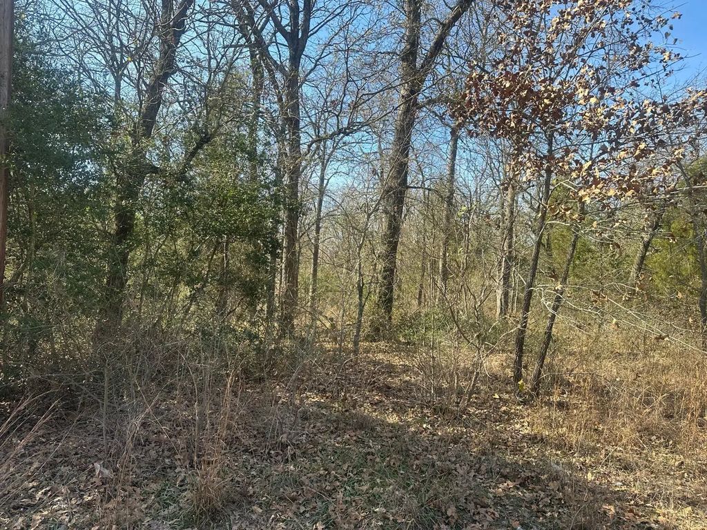 207 S Cherokee Shores Drive, Mabank
