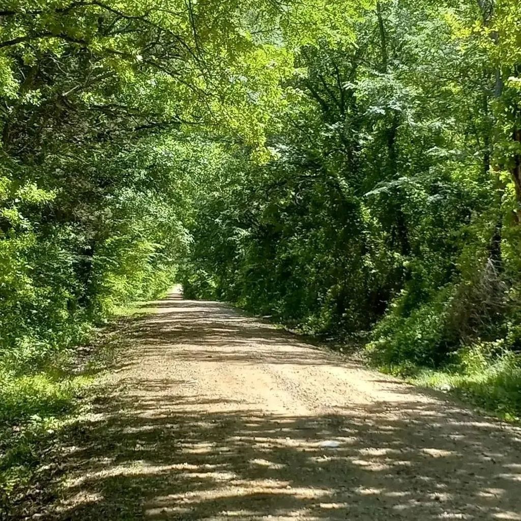 32 Acres County Road 2425, Como