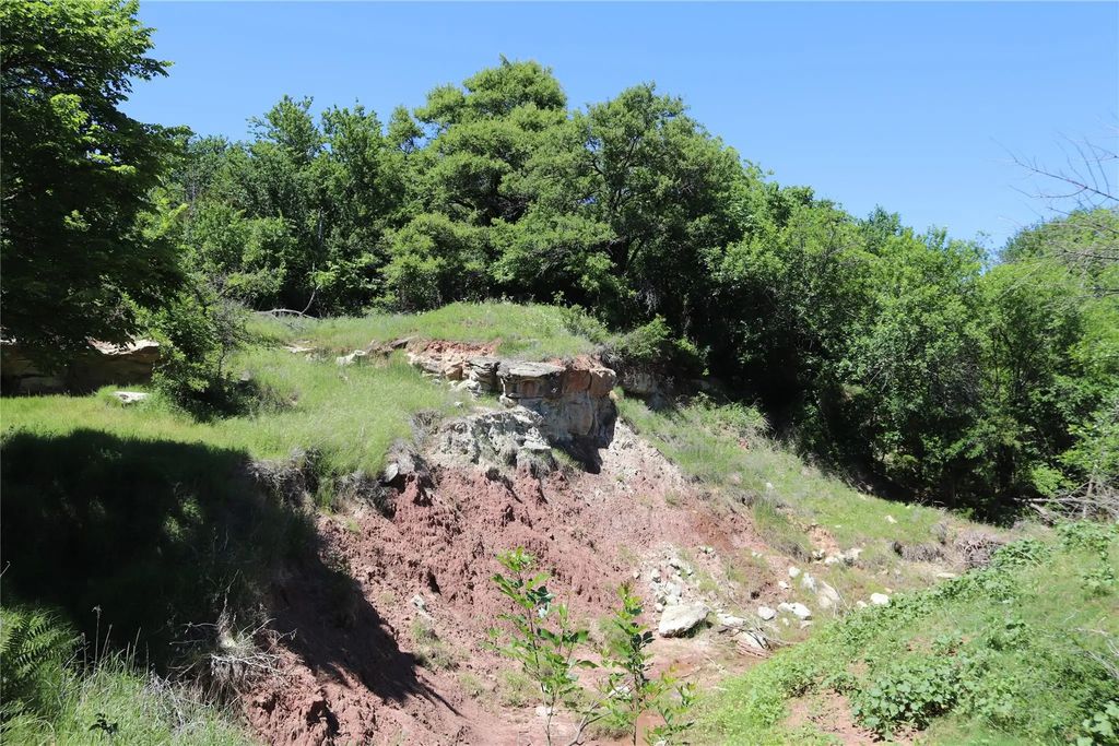 192 Acres Fm 171, Byers