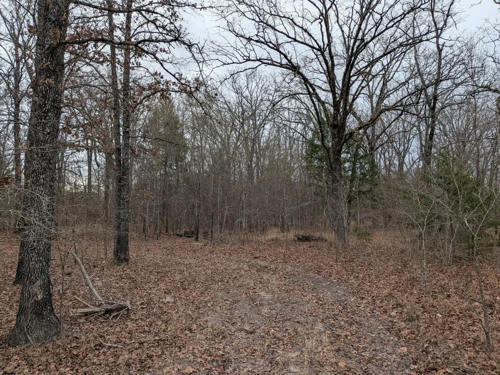 179 Rs County Road 2572, Alba