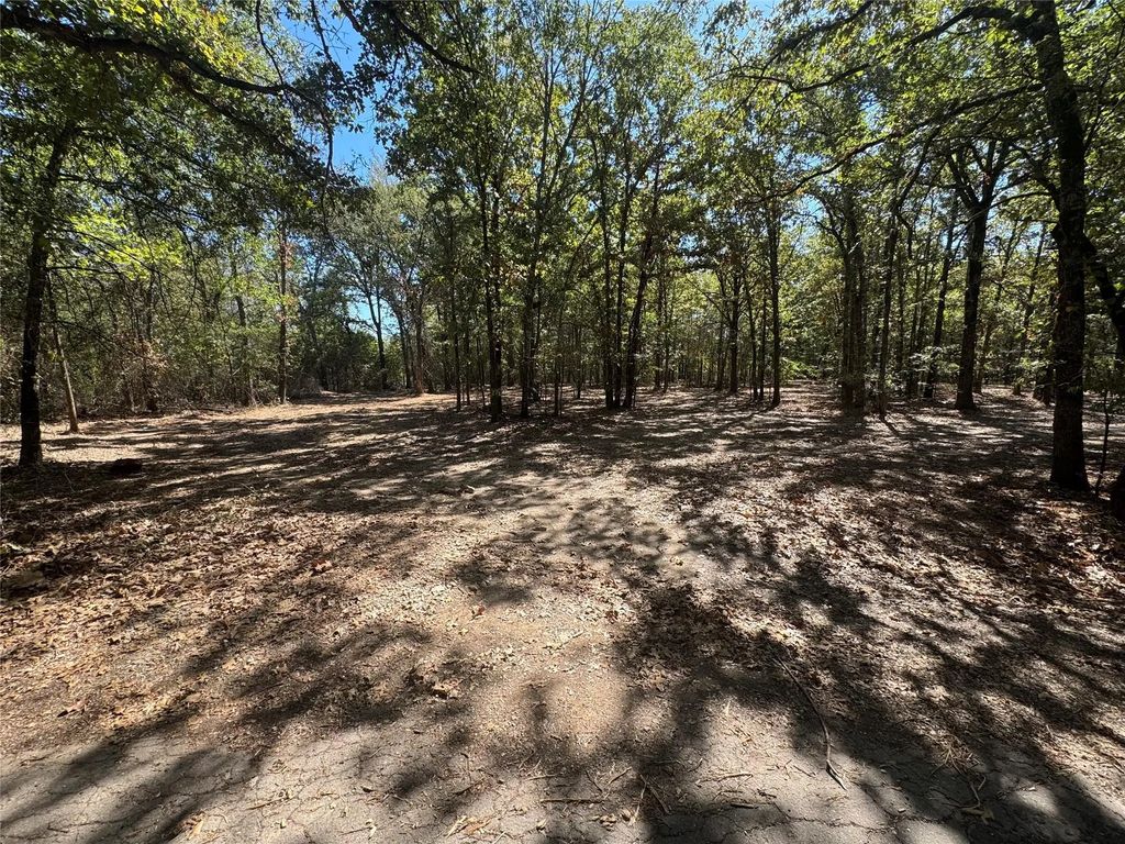 179 Rs County Road 2572, Alba