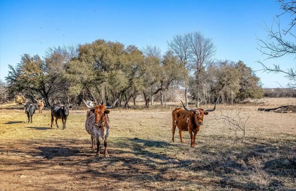 15 Acres Fm 2210, Bridgeport