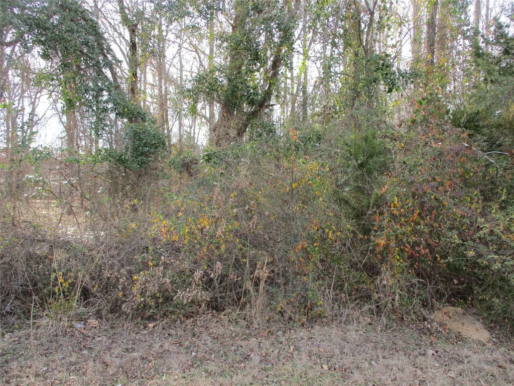 Tbd Wood County Road 2958, Alba