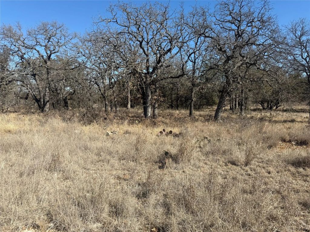 Tbd Cheryl Street, Brownwood