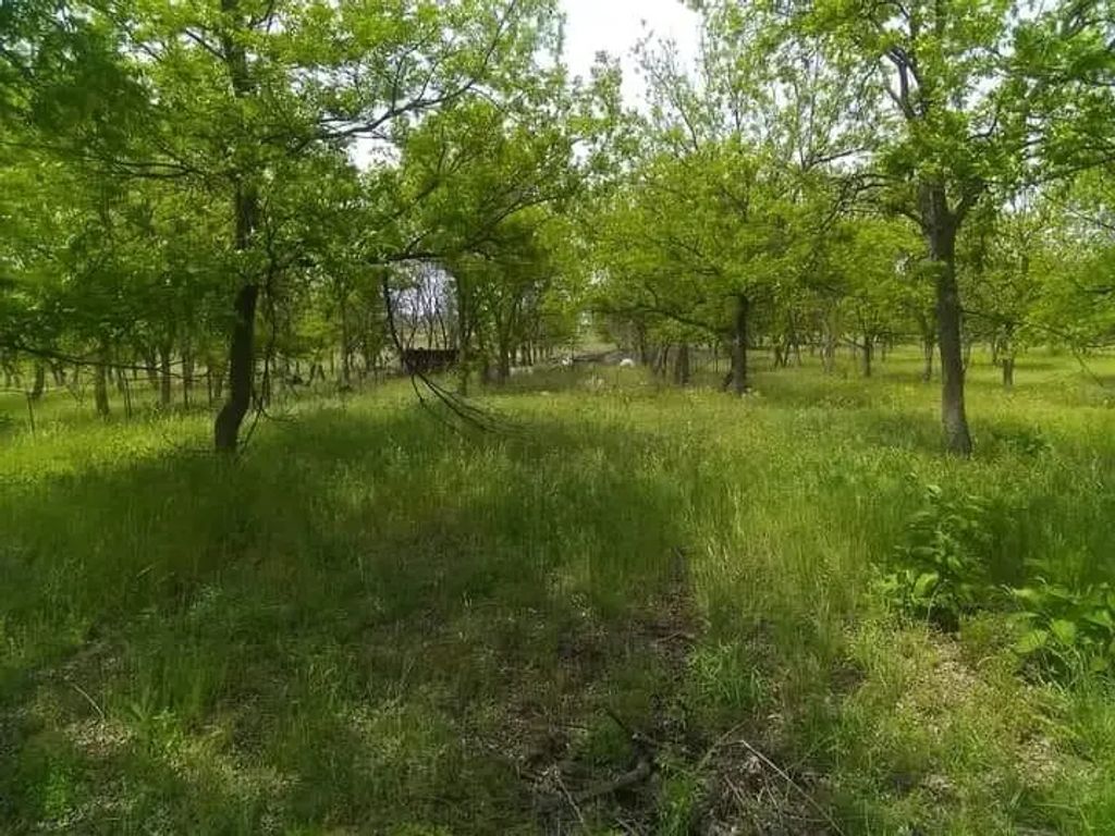 1209 County Road 416, Comanche