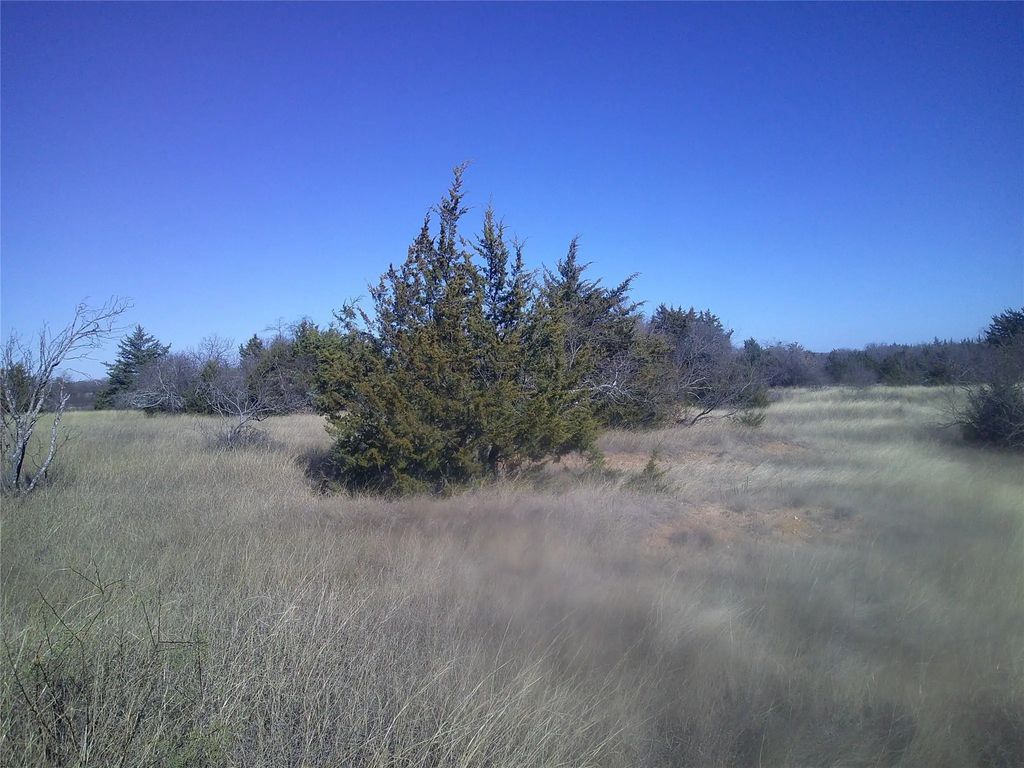 Tr 9 Cr 1750, Chico