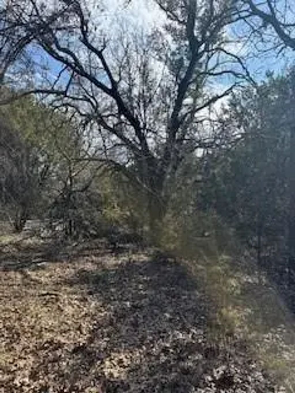 21039 Shady Oak Court, Whitney