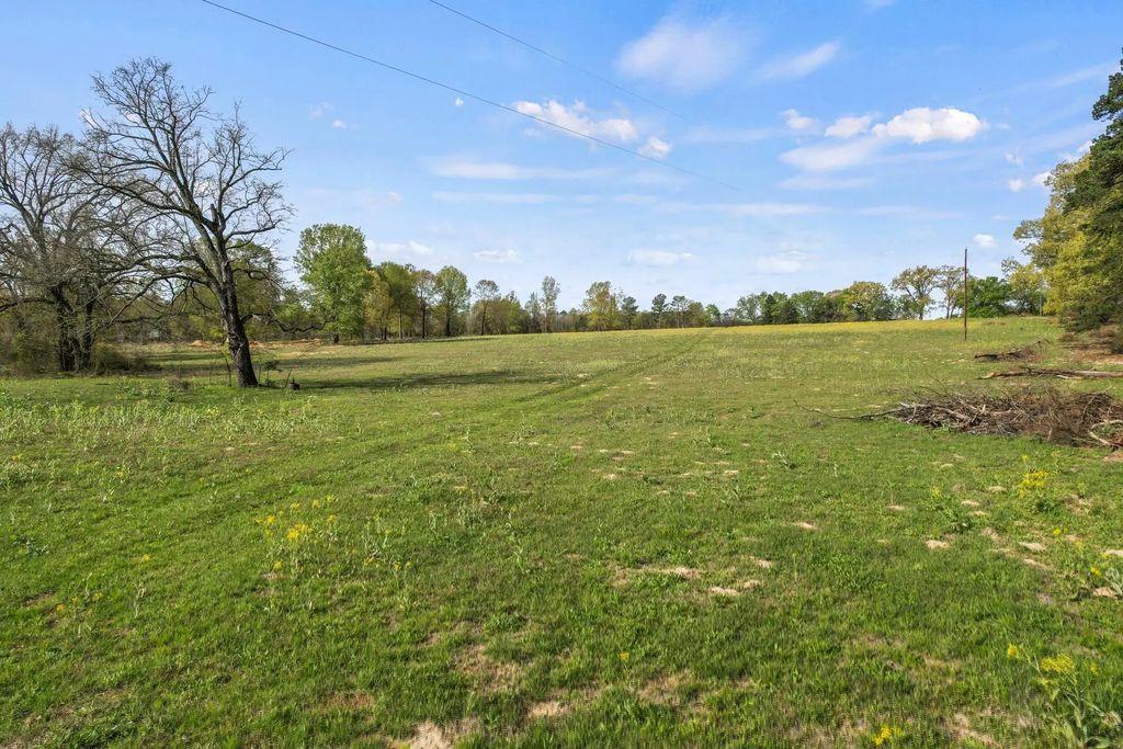 County Road 4663, Mount Pleasant