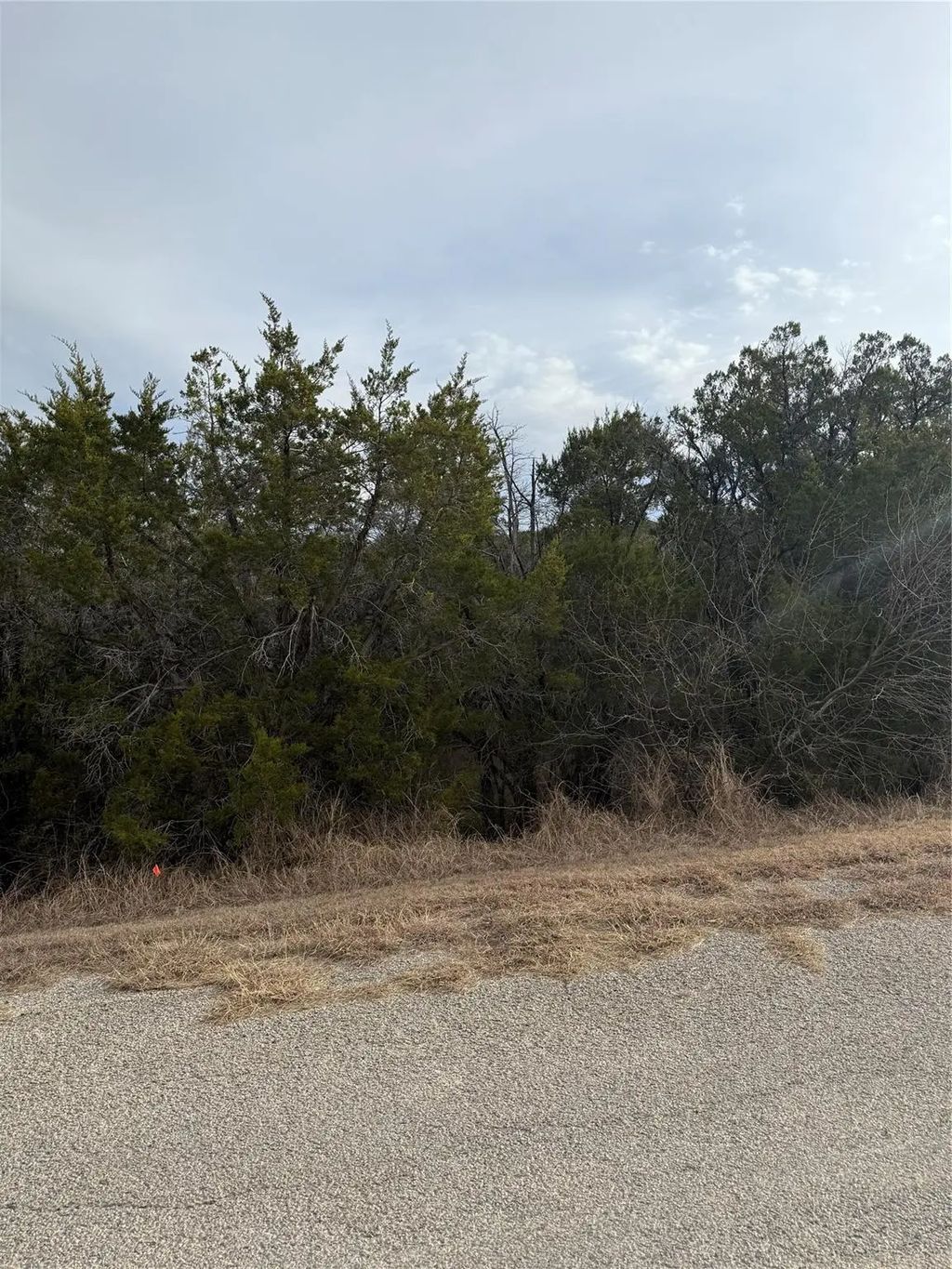 3111 Canadian River Trail, Granbury