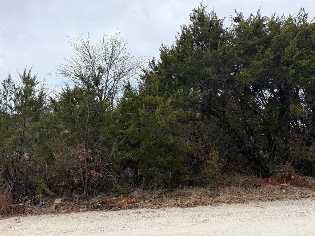 2102 Cactus Alley, Granbury