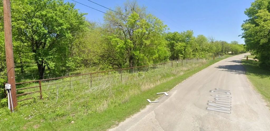 704 Mint Drive, Burleson