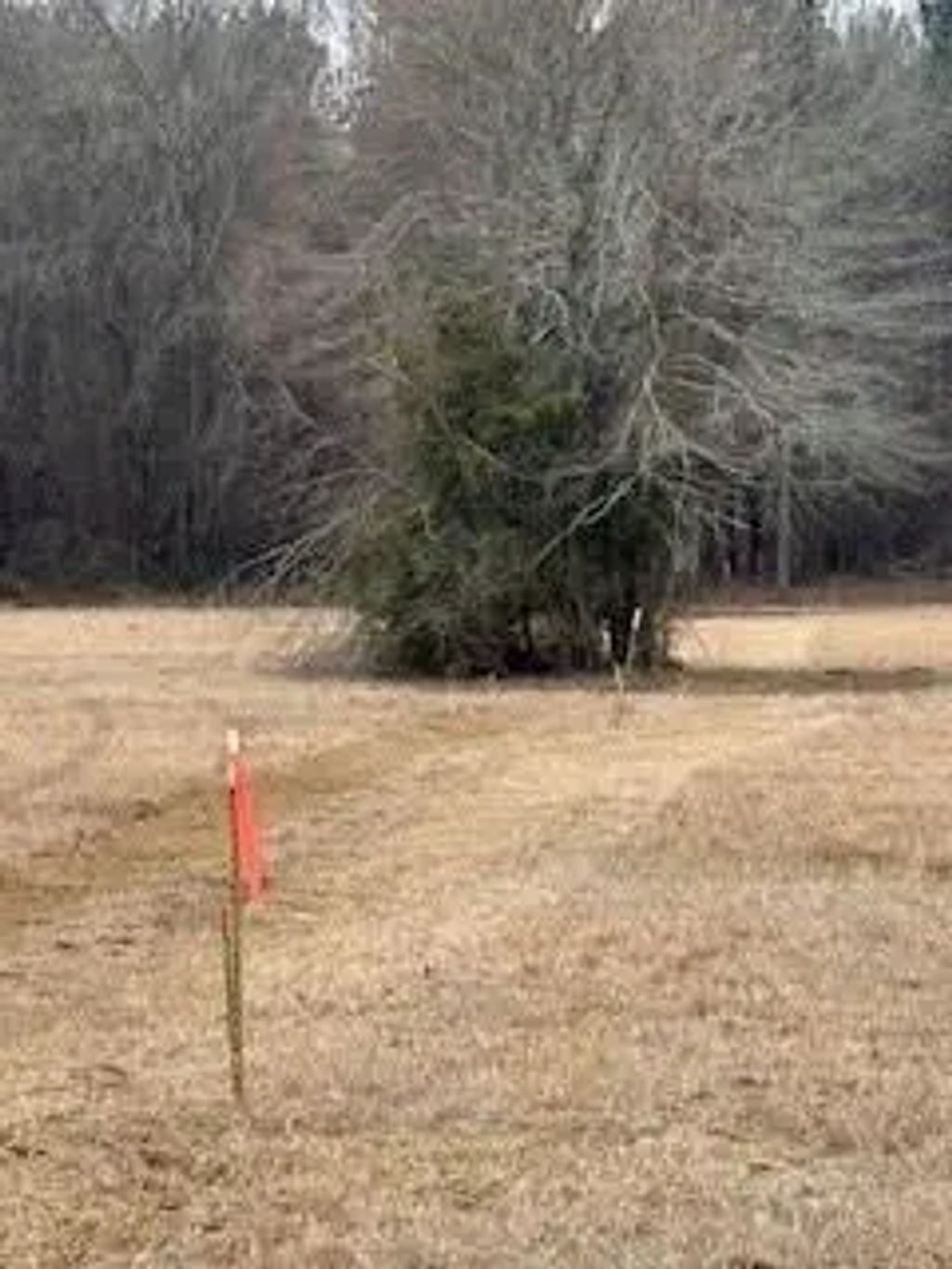 Bellevue Road Lot 1, Haughton