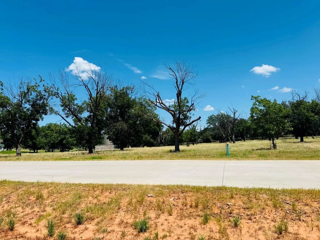 1036 E Landings N, Granbury