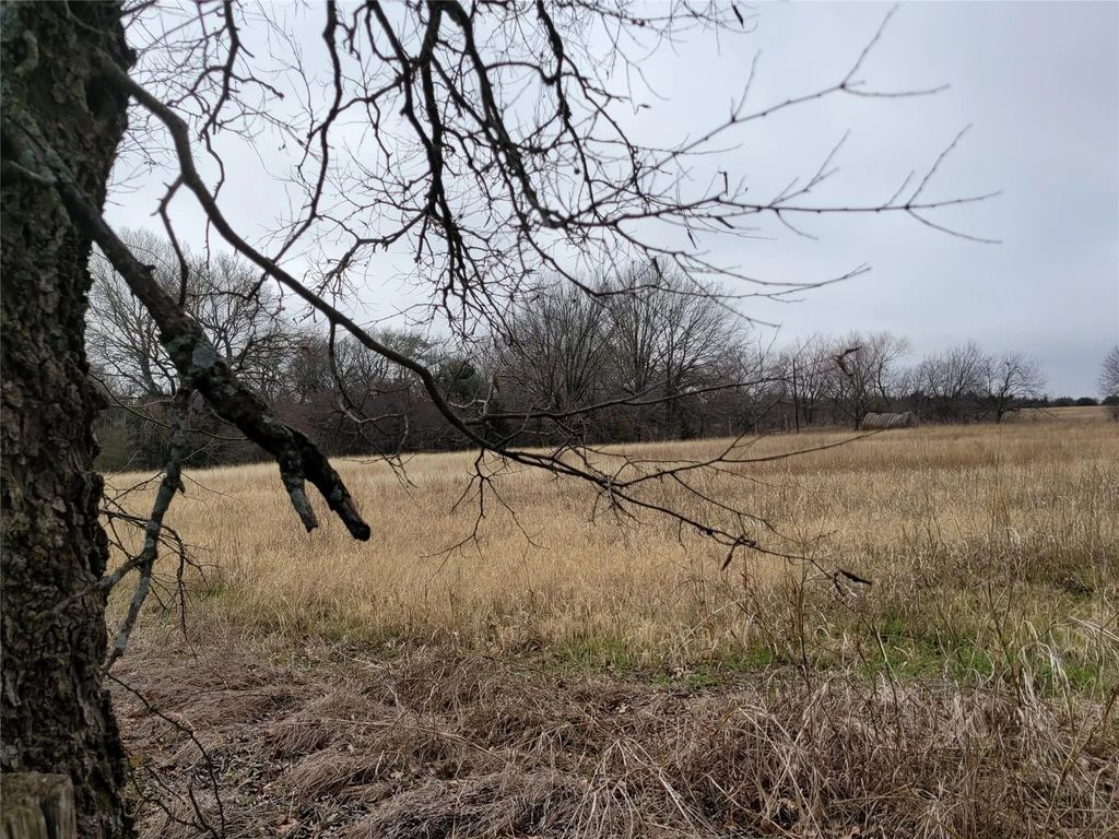 2232 County Road 415, Coyote Flats
