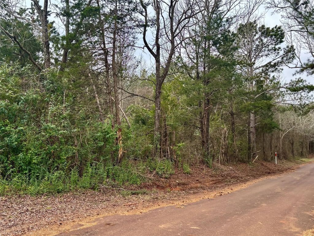 4451 County Road 3206 W, Mount Enterprise