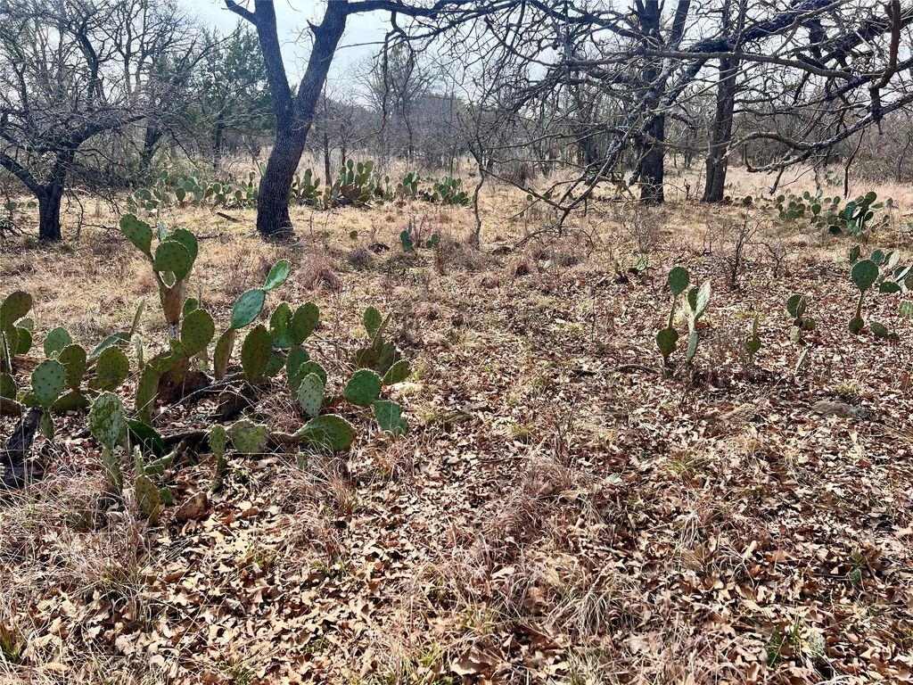 Lot 64 Janda Lane, Brownwood
