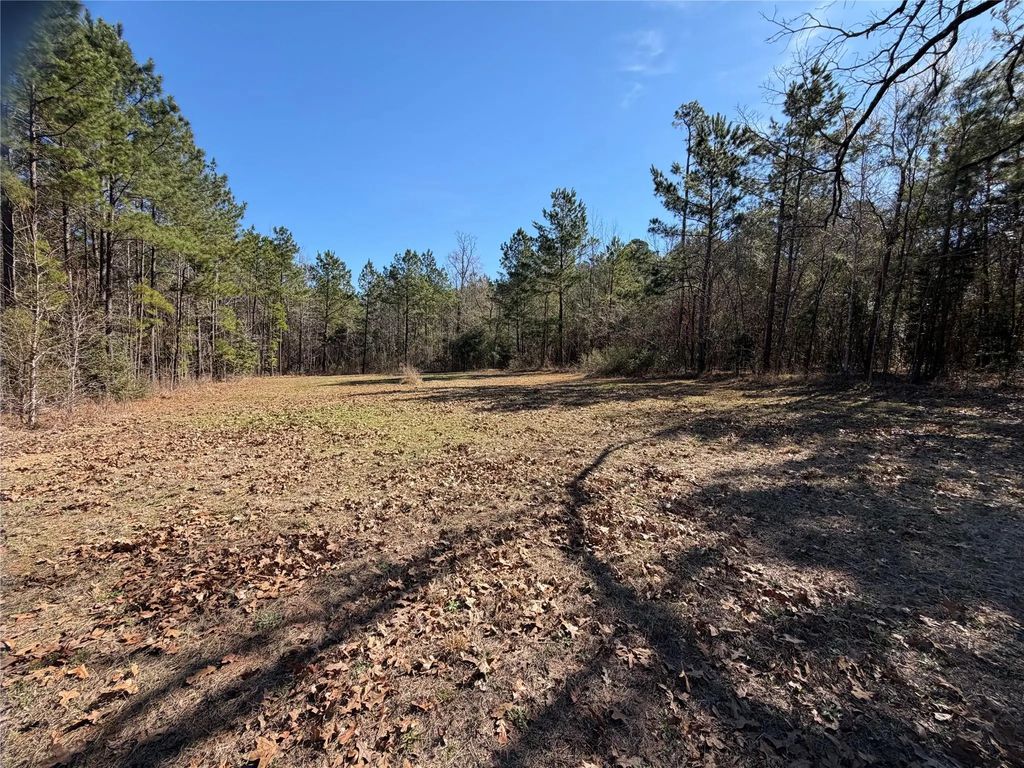 805 County Road 3210, Jacksonville