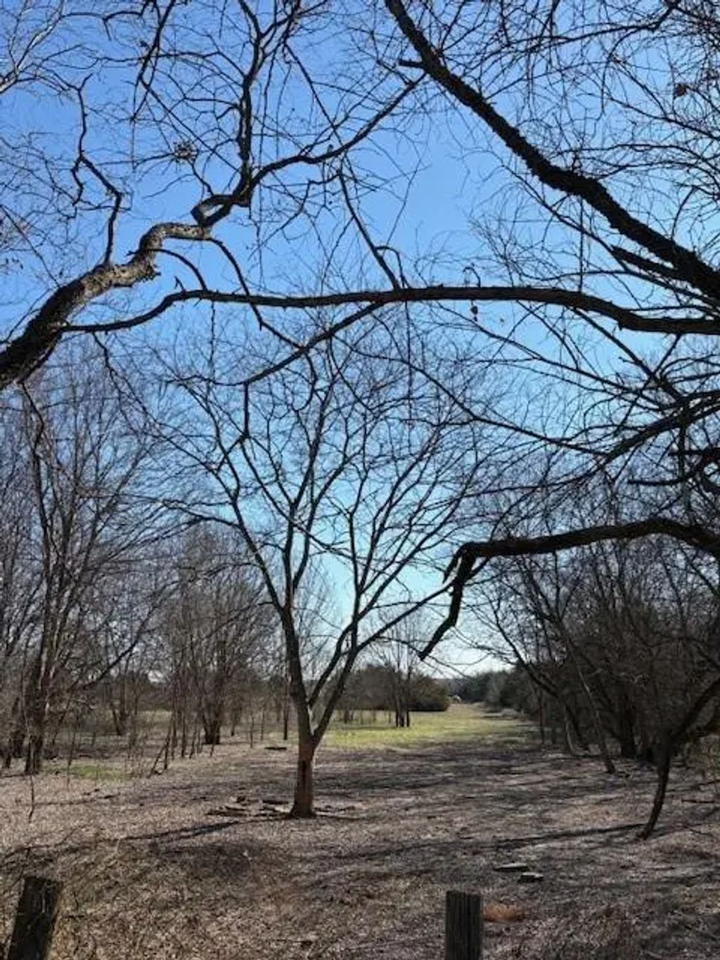 County Road 4518, Wolfe City